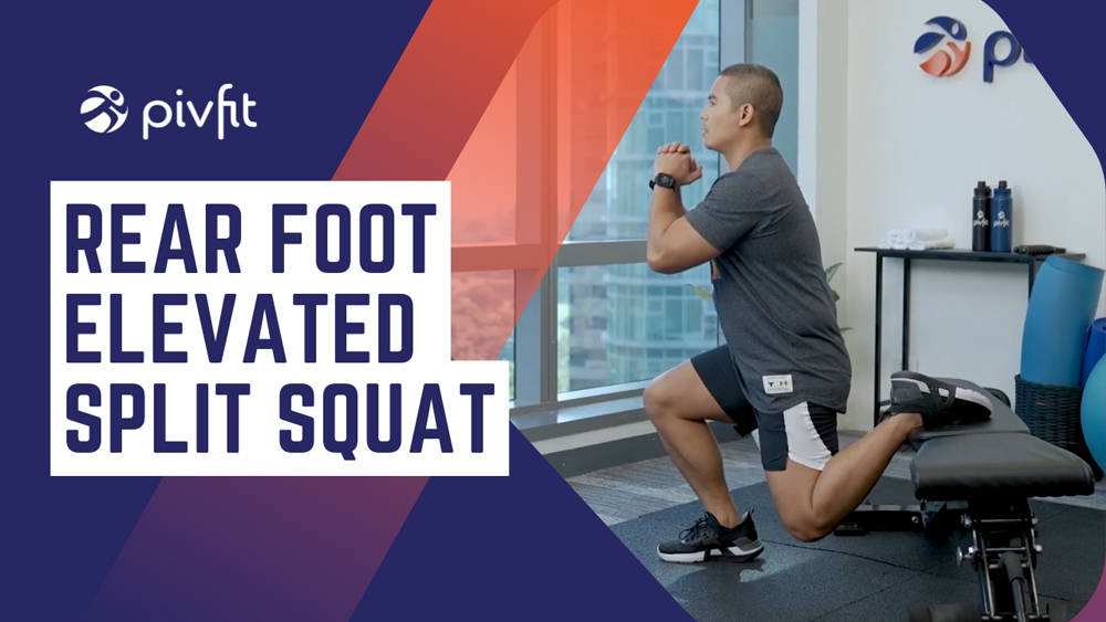 Leaning Rear Foot Elevated Squats 